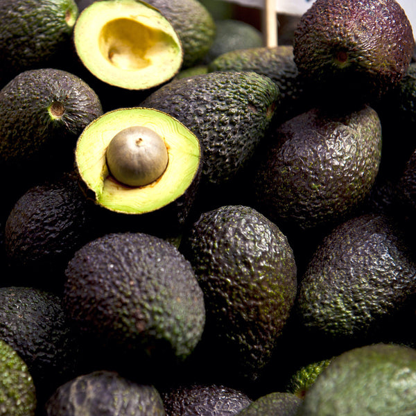 Avokádo Premium (zrelé) - 16ks | KULAUshop.sk