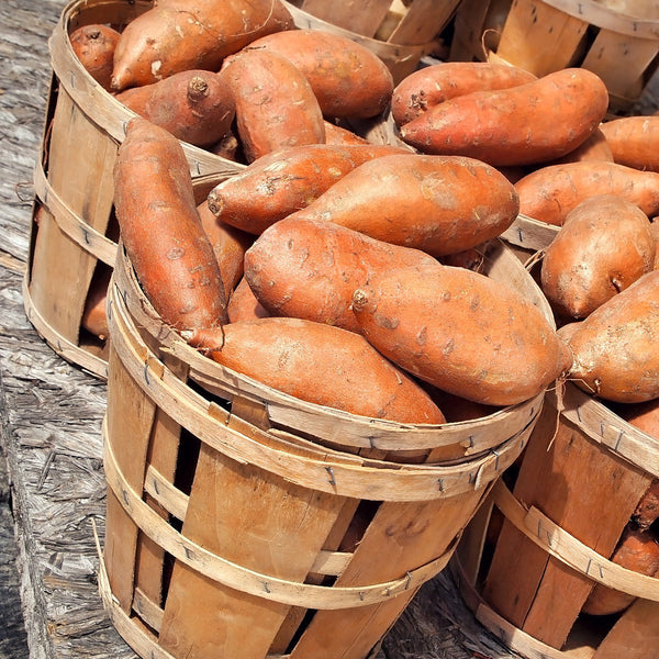 Sladké zemiaky BATÁTY Premium - 12ks/4kg | KULAUshop.sk