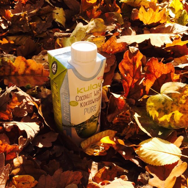 Kokosová voda (BIO), PURE 330ml | KULAUshop.sk