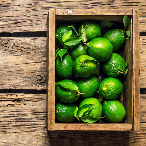 Limety Tahiti Premium - 20ks (cca 2kg) | KULAUshop.sk