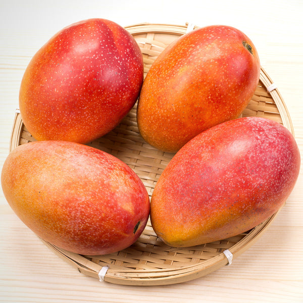 Mango Premium - 4ks | KULAUshop.sk